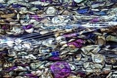 Canned-it-Ralph-Domino-Commended-Open-A-Grade-PDI-Jun-2023