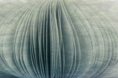 Paper-mist-Annette-Donald-Commended-Open-A-Grade-PDI-Jun-2023