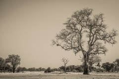 African-Drought-Russell-Spence-Commended-Open-A-Grade-Print-Jun-2023