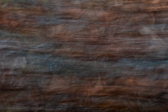 ICM1-Rafael-Alton-Best-Set-Subject-B-Grade-Print-Jun-2023