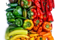 Capsicums-Alison-Crea-Highly-Commended-Open-B-Grade-PDI-Mar-2023