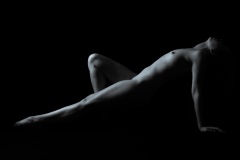 Low-Key-Paul-Dodd-Commended-Open-A-Grade-PDI-Mar-2023