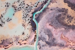 Real-colours-of-nature-Gary-Richardson-Highly-Commended-Open-A-Grade-PDI-Mar-2023