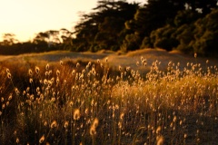 luminosity-Matt-Smith-Commended-Set-Subject-A-Grade-PDI-Mar-2023