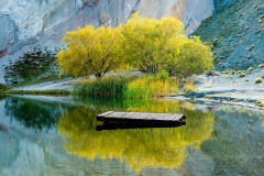 Blue-Lake-Willows-Richard-Faris-Commended-Set-Subject-A-Grade-Print-Mar-2023