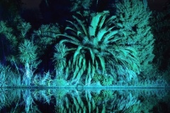 Reflections-Nicole-Andrews-Best-Set-Subject-A-Grade-Print-Mar-2023