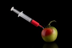 artificial-ripening-Fabian-Fulgione-Best-Open-B-Grade-Print-Mar-2023