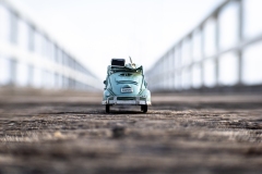 Gone-Surfin-Frances-Egan-Commended-Open-A-Grade-PDI-May-2023