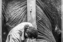 Jumbo-Maintenance-Andrew-Costigan-Best-Set-Subject-B-Grade-PDI-May-2023