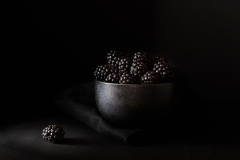 Blackberries-Sally-Paterson-Commended-Open-A-Grade-Print-May-2023