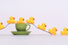 bath-time-Steven-Pace-Commended-Open-B-Grade-Print-May-2023
