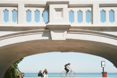 Freedom-Oscar-Adinolfi-Highly-Commended-Open-B-Grade-PDI-Oct-2023