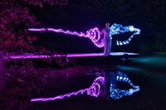 Light-Painting-Walcheweiher-Winterthur-Juerg-von-Kaenel-Highly-Commended-Set-Subject-A-Grade-PDI-Oct-2023