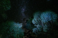 Night-in-the-country-Simon-Springate-Commended-Set-Subject-B-Grade-PDI-Oct-2023