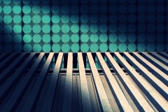 Light-James-Mexias-Highly-Commended-Open-A-Grade-PDI-Sep-2023