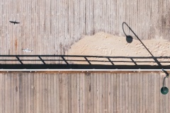 Silver-Gull-Ruth-Woodrow-Commended-Open-A-Grade-Print-Sep-2023