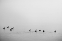 I-cant-see-Des-Crossley-Commended-Set-Subject-A-Grade-PDI-Apr-2024