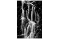 Rivulets-Peter-King-Highly-Commended-Open-A-Grade-PDI-Apr-2024