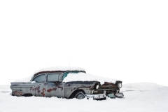 Snow-clad-Rebecca-Polonski-Commended-Open-B-Grade-PDI-Apr-2024