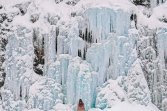 self-snow-Adelaide-Bernard-Commended-Open-B-Grade-PDI-Apr-2024