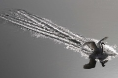 13_Landing-Strip