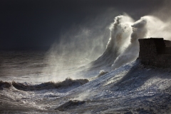 43_White-Horses