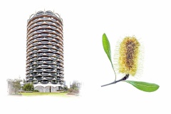 Banksia-Building-Lesley-Bretherton-Commended-Set-Subject-A-Grade-PDI-Jul-2024