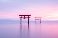 Floating-Torii-Gate-Saga-Lesley-Bretherton-Best-Open-A-Grade-Print-Jul-2024