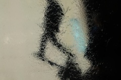 Shadow-Walk-Terry-Noske-Commended-Open-B-Grade-PDI-Jun-2024