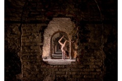 no-title-Adelaide-Bernard-Best-Open-B-Grade-PDI-Jun-2024