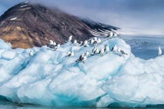 A-cool-gathering-Ken-Gosbell-Best-Open-A-Grade-PDI-Mar-2024