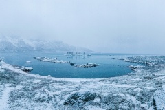 Norway-panoramic-Adelaide-Bernard-Best-Set-Subject-B-Grade-PDI-Mar-2024