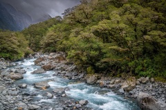 Pristine-Nature-Robin-Tully-Commended-Set-Subject-B-Grade-PDI-Mar-2024