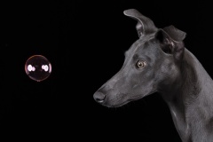 Orb-of-Wonder-Jess-Holmes-Best-Open-A-Grade-Print-Mar-2024.jpg-inst