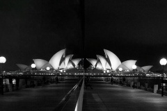 Reflected-Jo-Kneebone-Commended-Open-B-Grade-PDI-May-2024