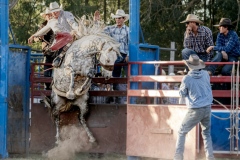 Rodeo-Robin-Tully-Highly-Commended-Open-B-Grade-PDI-May-2024