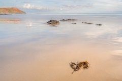 Berrys-Beach-April-24-Lesley-Bretherton-Commended-Open-A-Grade-Print-May-2024