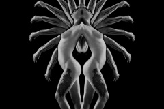 Duet-3-Geoff-Shaw-Commended-Open-A-Grade-PDI-Oct-2024