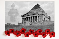 Lest-We-Forget-Rebecca-Polonski-Highly-Commended-Open-B-Grade-PDI-Oct-2024