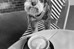 85-Nicole-Andrews-Archie-2024-So-Latte-Exhibition