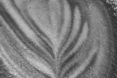 45-Ros-Pach-Patterns-2024-So-Latte-Exhibition