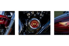 Pride-Joy-Daryl-Groves-Highly-Commended-Set-Subject-A-Grade-PDI-Apr-2025