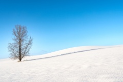 Afternoon-Shadow-Hokkaido-Lesley-Bretherton-Highly-Commended-Set-Subject-A-Grade-Print-Aug-2025