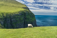 Gjogv-Pastoral-Stephen-Nagle-Commended-Set-Subject-B-Grade-Print-Aug-2025