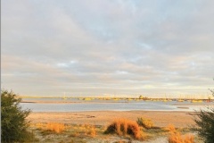 Horizon-sprinkled-by-the-sun-Diana-Fernandes-Best-Open-B-Grade-Print-Aug-2025