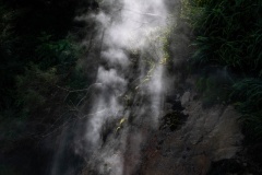 Moss-in-the-mist-Kaye-Linsdell-Commended-Set-Subject-A-Grade-Print-Aug-2025