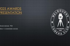 2025-EOY-Awards_009