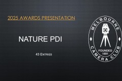 2025-EOY-Awards_014