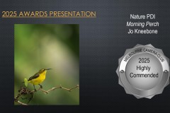 2025-EOY-Awards_016