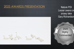 2025-EOY-Awards_017